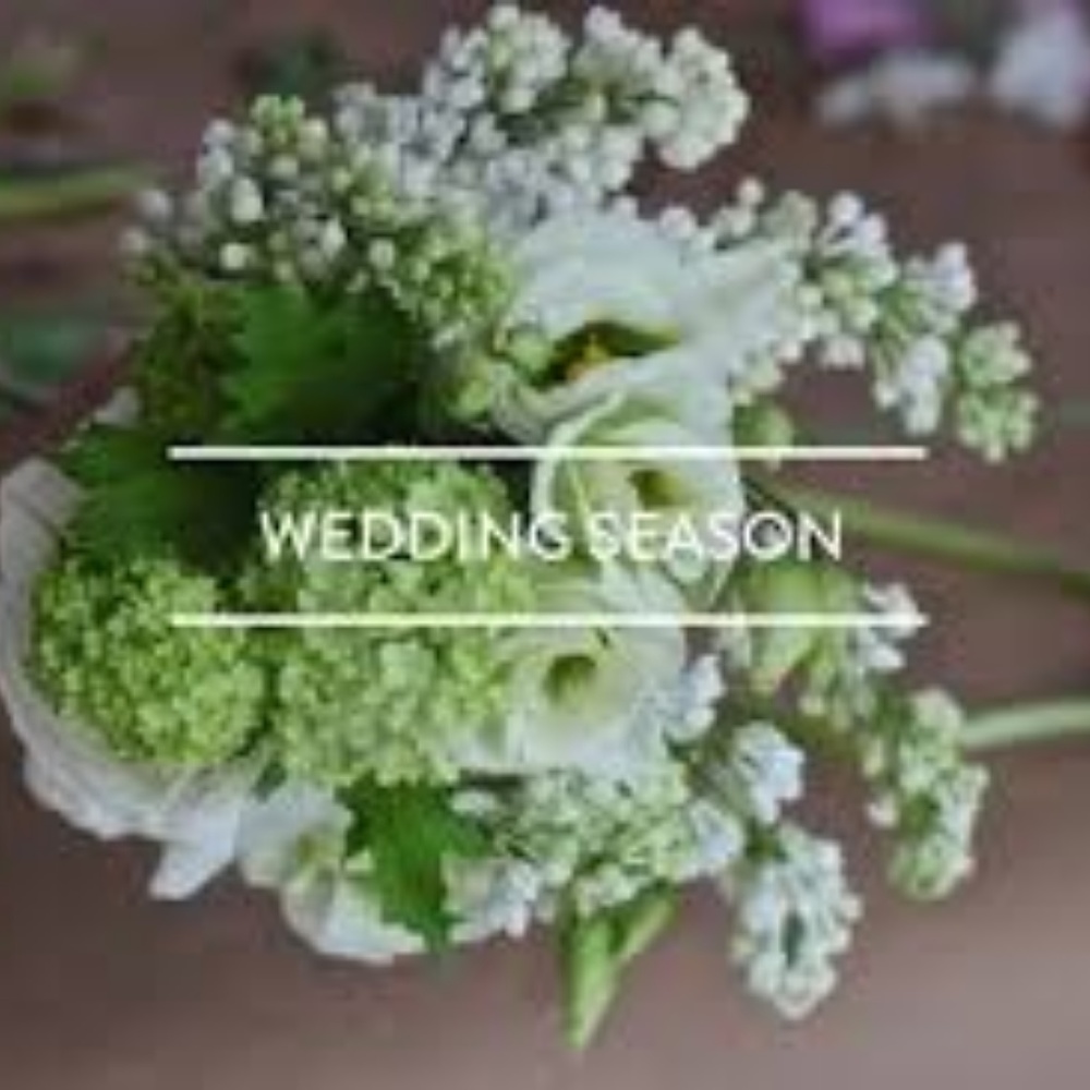 Wedding Season is Here!